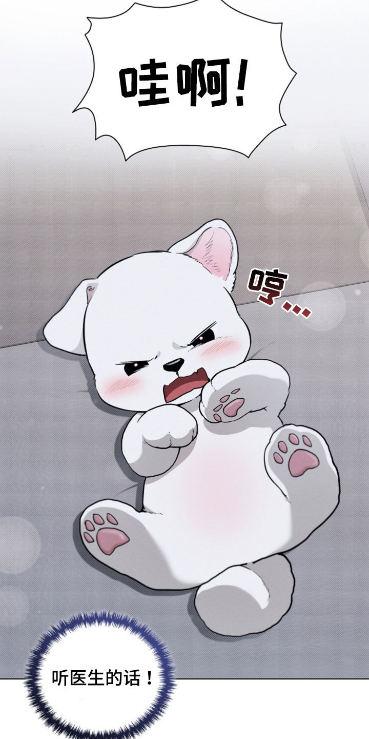 小白狗奇遇记韩漫免费观看全集漫画,第55话1图
