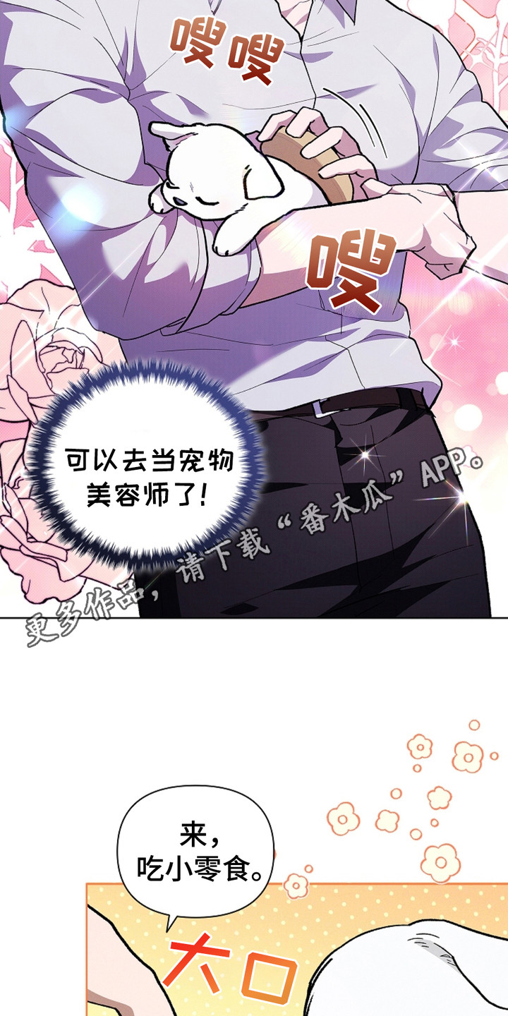 小白狗奇遇记韩漫免费观看全集漫画,第19话1图