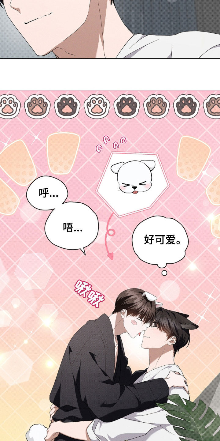 小白狗奇遇记韩漫免费观看全集漫画,第54话2图