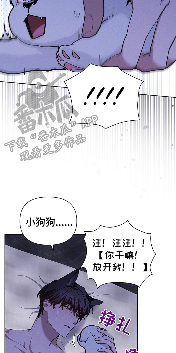 小白狗奇遇记韩漫免费观看全集漫画,第22话2图