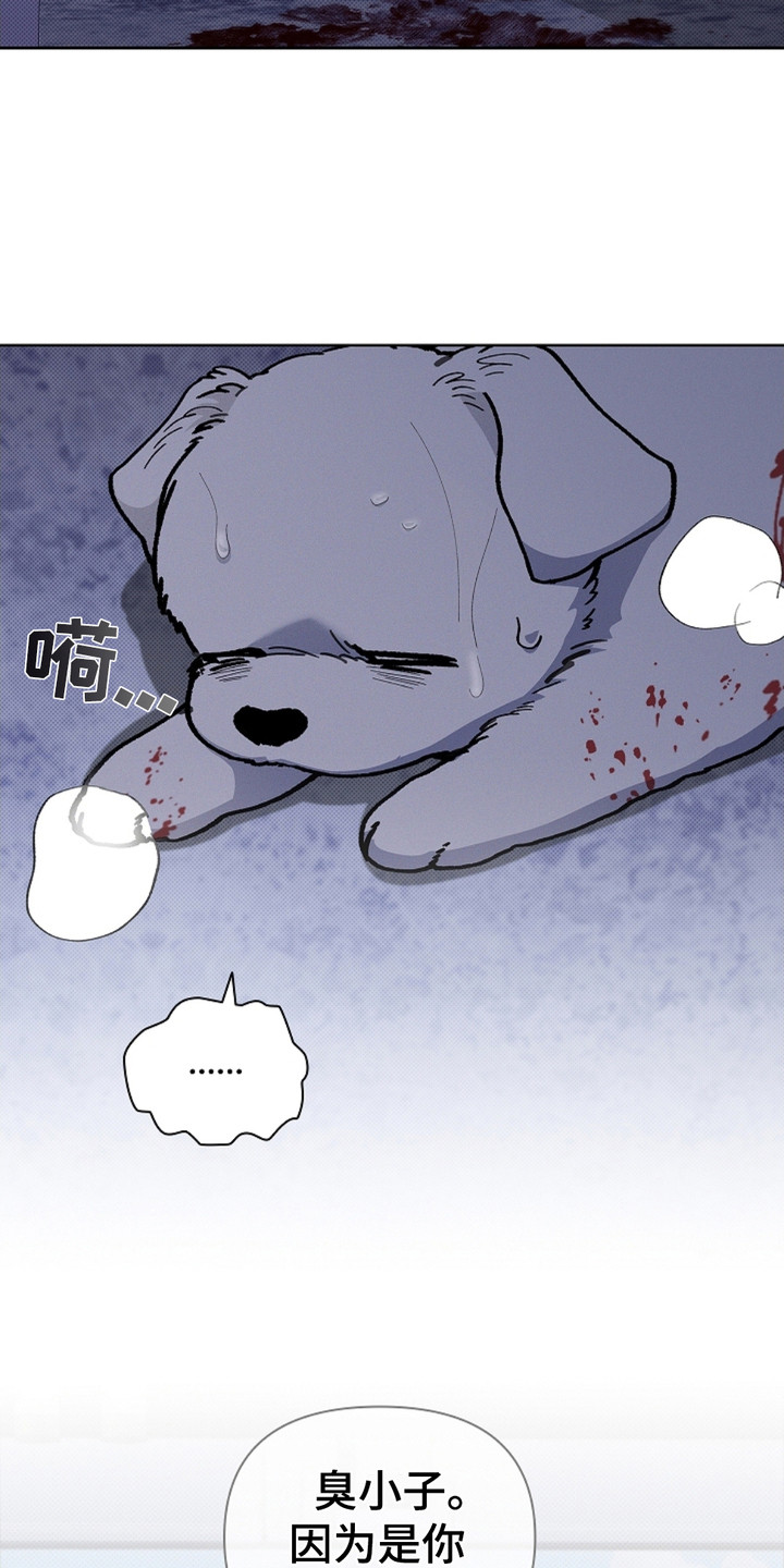 小白狗奇遇记韩漫免费观看全集漫画,第9话1图