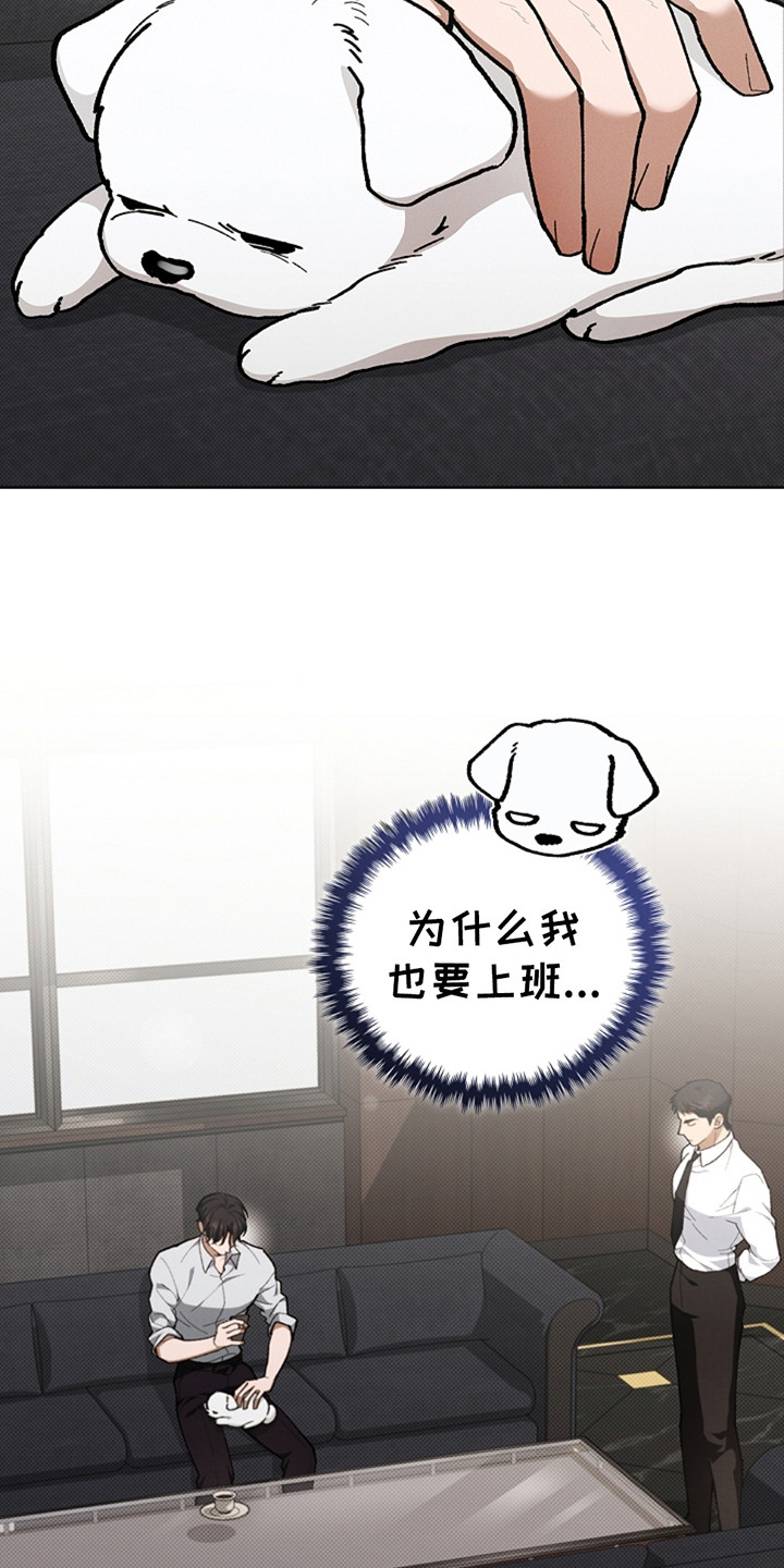 小白狗奇遇记韩漫免费观看全集漫画,第13话2图