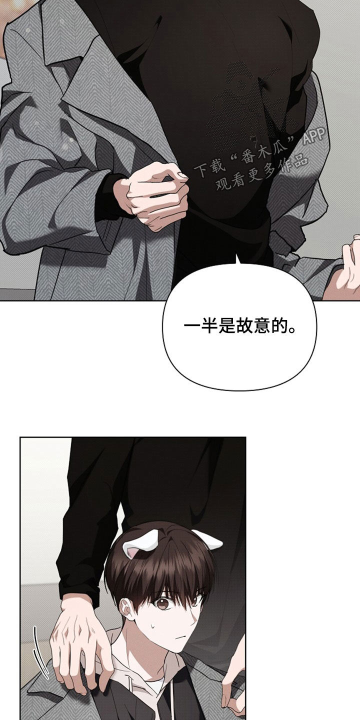 小白狗奇遇记韩漫免费观看全集漫画,第50话2图