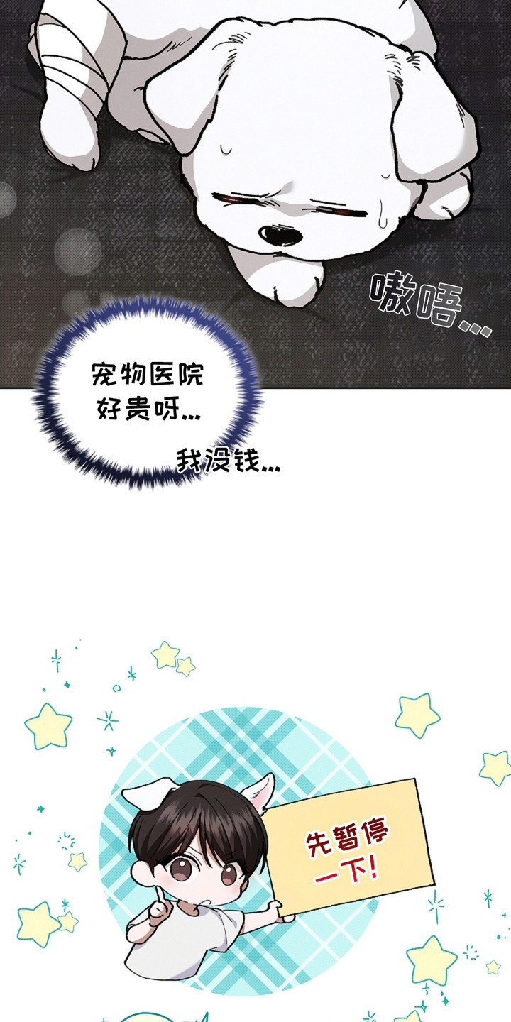 小白狗奇遇记韩漫免费观看全集漫画,第10话2图