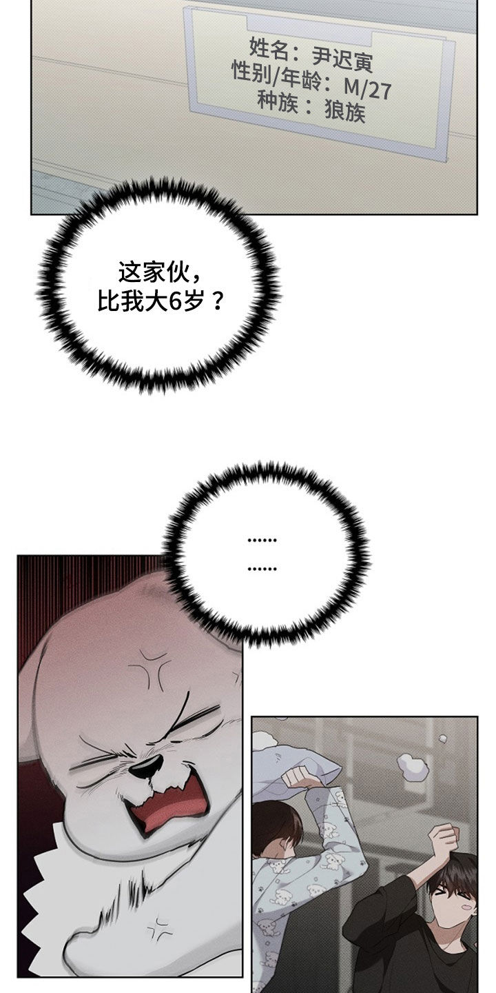 小白狗奇遇记韩漫免费观看全集漫画,第50话1图