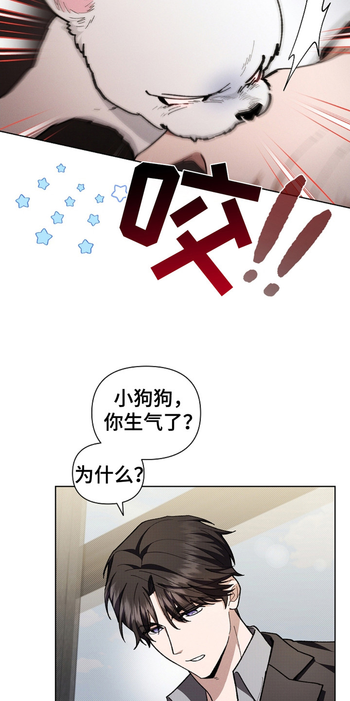 小白狗奇遇记韩漫免费观看全集漫画,第15话1图