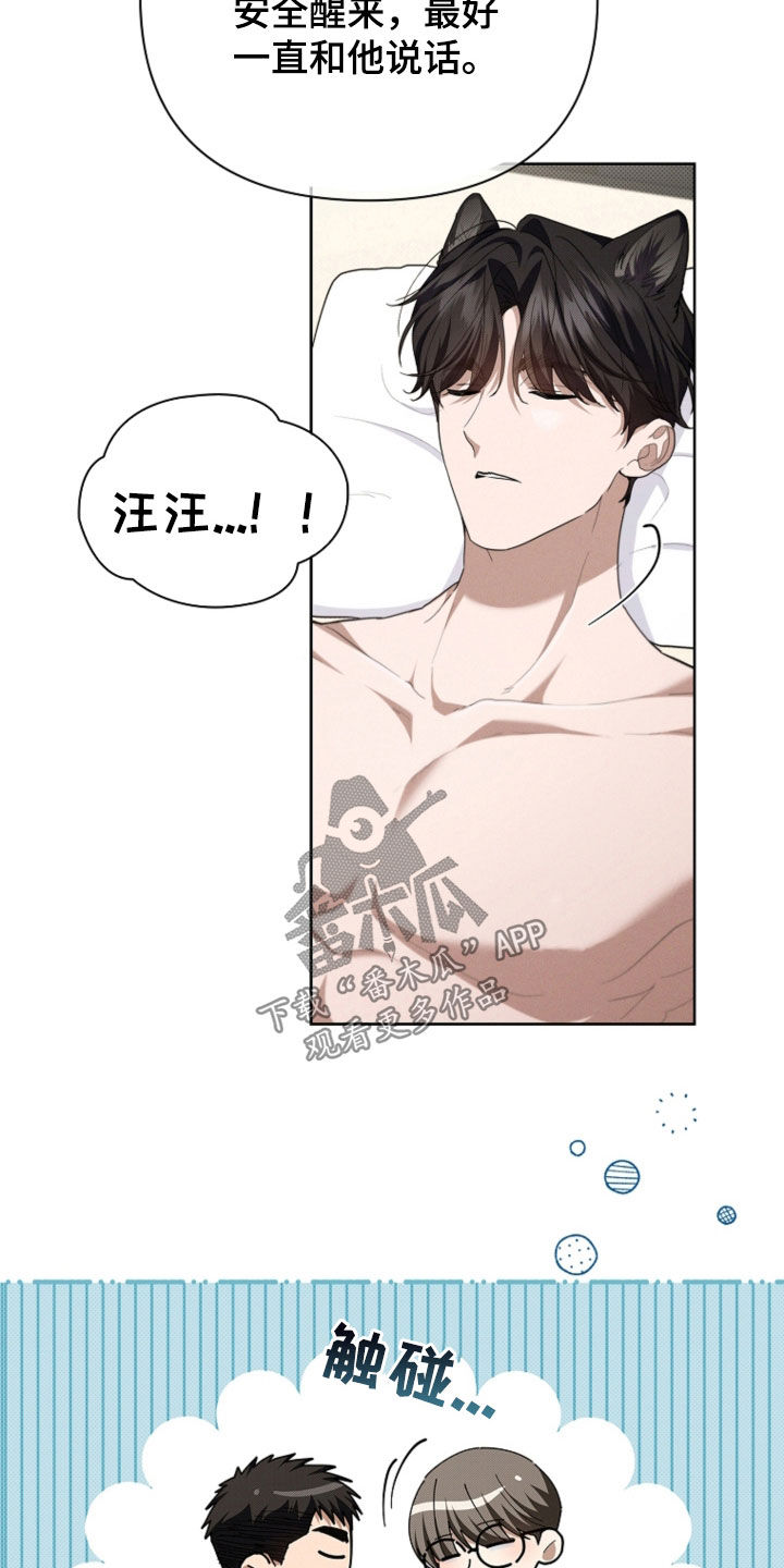 小白狗奇遇记韩漫免费观看全集漫画,第52话1图