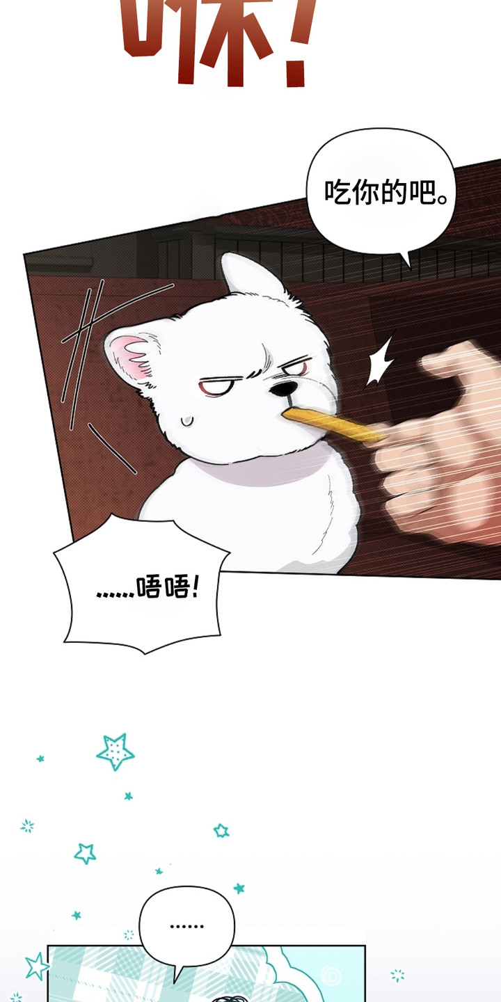 小白狗奇遇记韩漫免费观看全集漫画,第4话1图