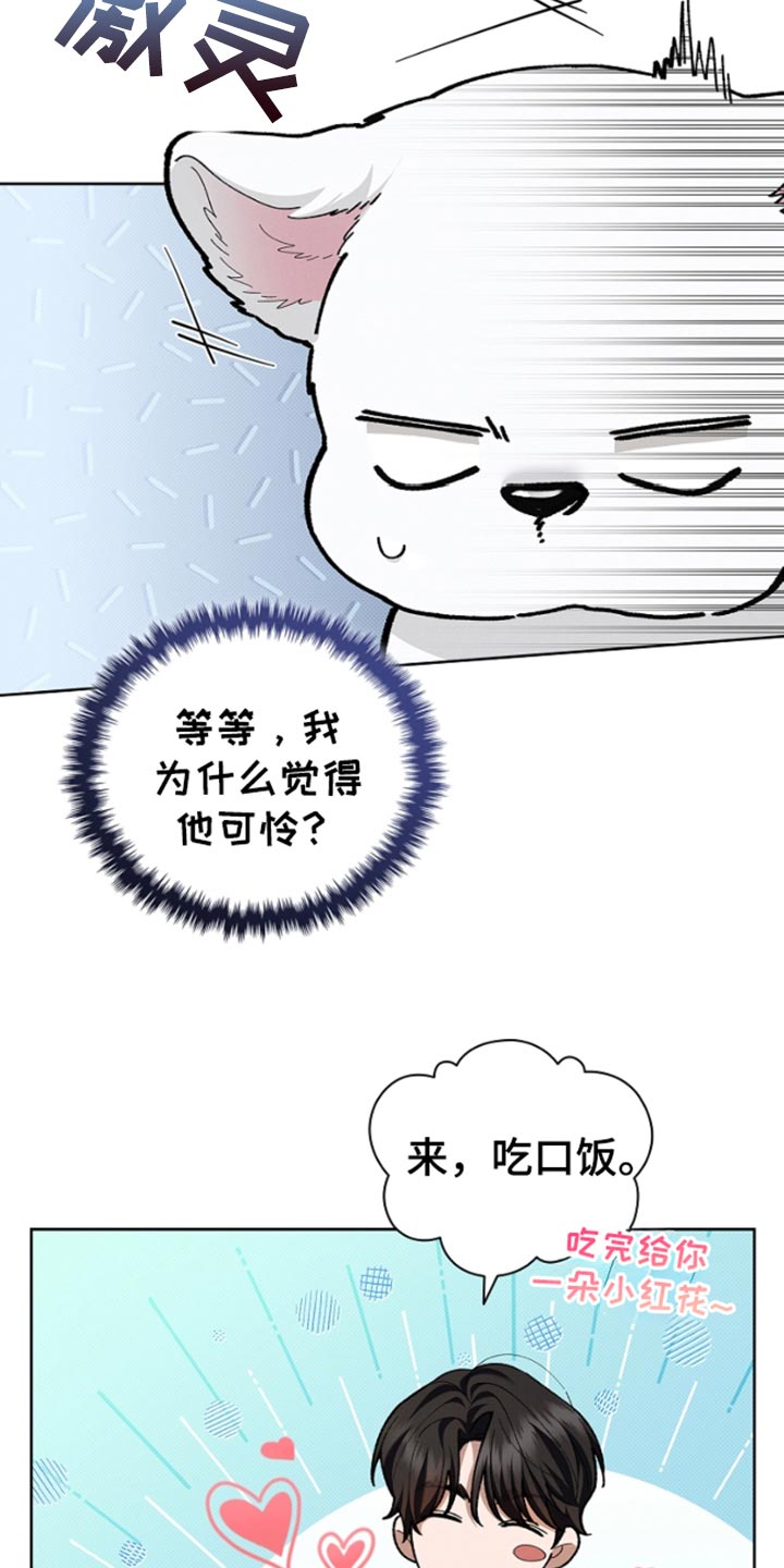 小白狗奇遇记韩漫免费观看全集漫画,第28话2图
