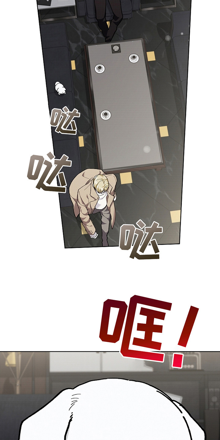 小白狗奇遇记韩漫免费观看全集漫画,第23话2图