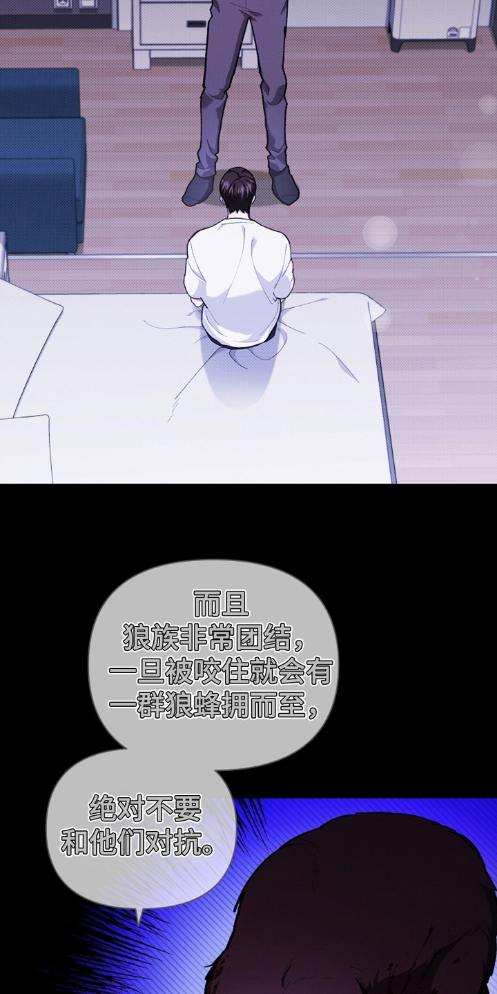 小白狗奇遇记韩漫免费观看全集漫画,第14话1图