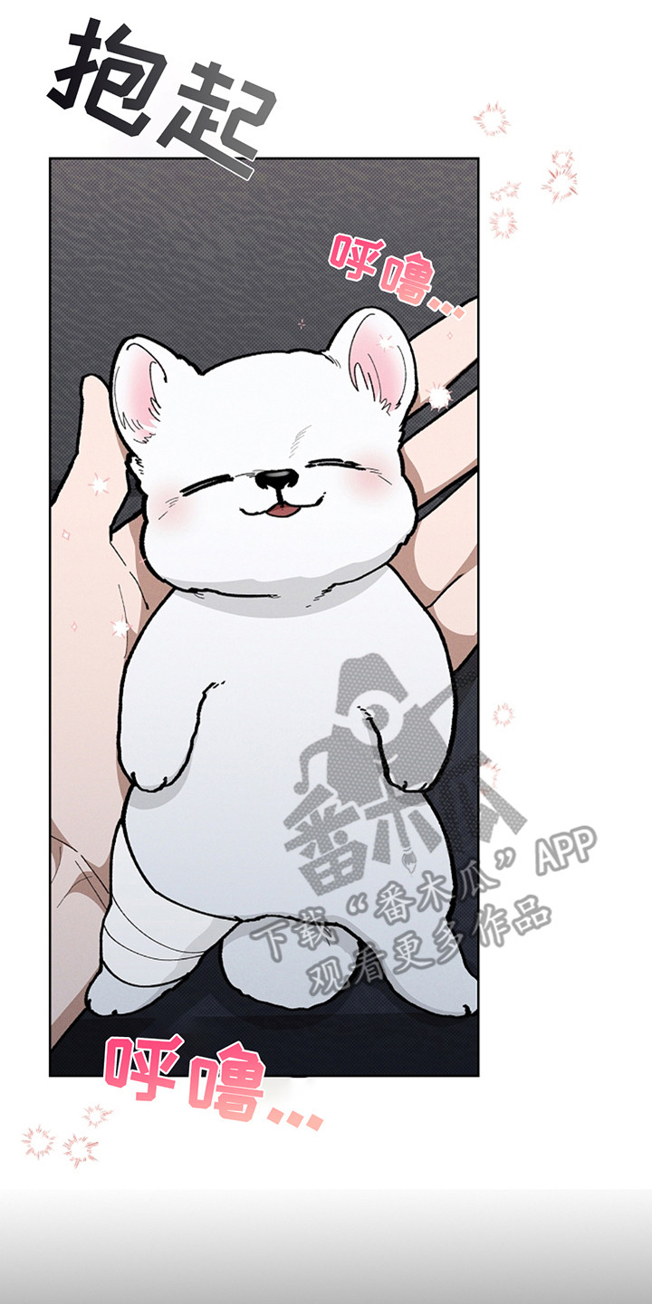 小白狗奇遇记韩漫免费观看全集漫画,第20话2图