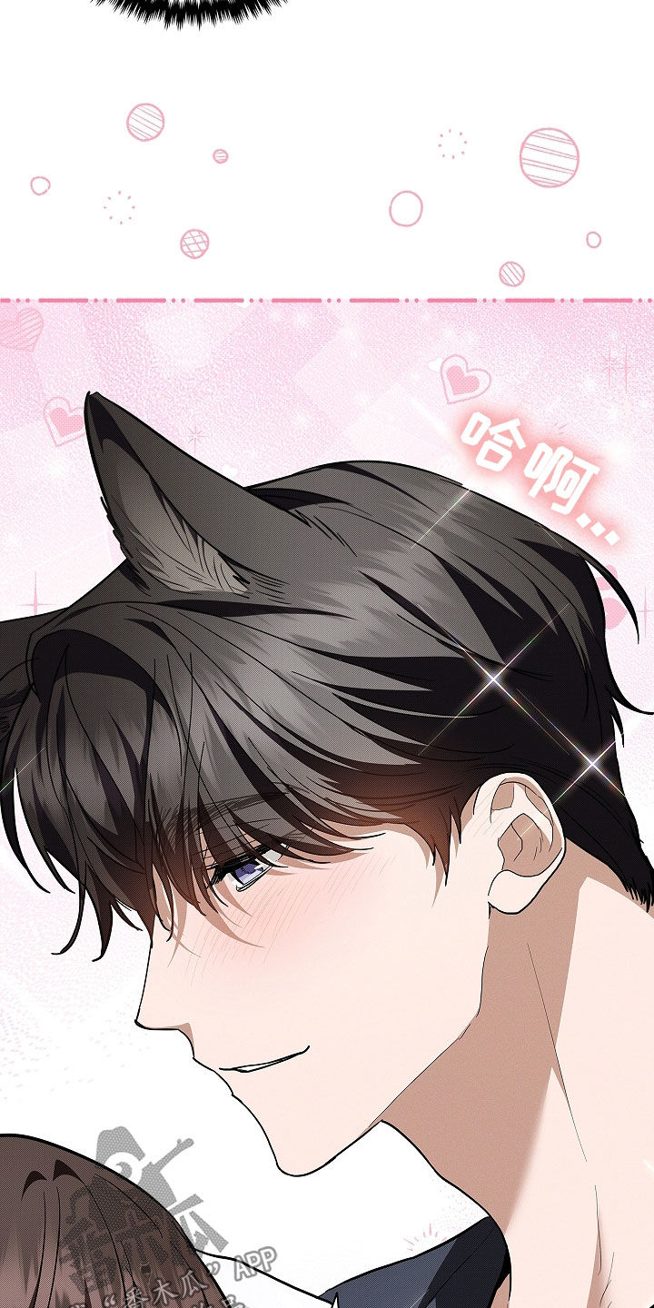 小白狗奇遇记韩漫免费观看全集漫画,第46话1图