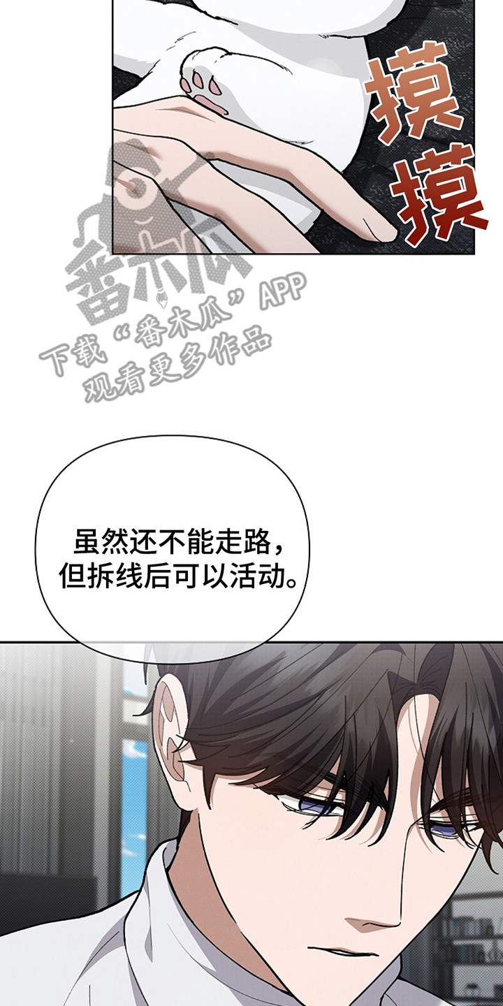 小白狗奇遇记韩漫免费观看全集漫画,第20话2图