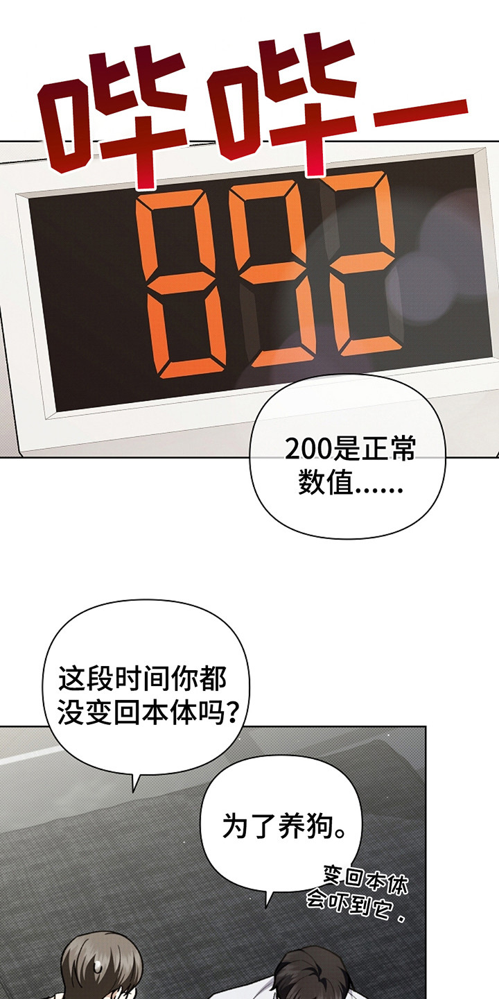 小白狗奇遇记韩漫免费观看全集漫画,第21话1图