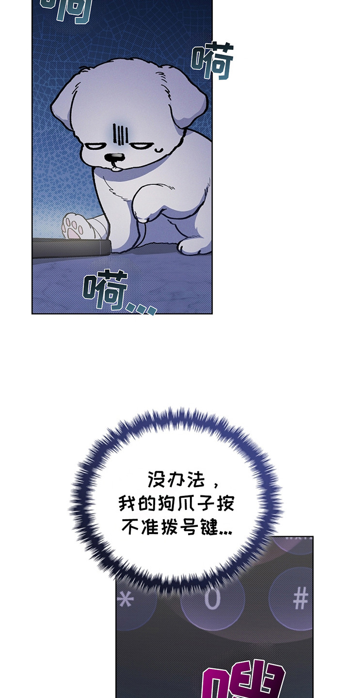 小白狗奇遇记韩漫免费观看全集漫画,第12话2图