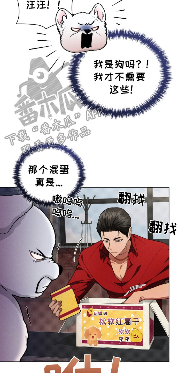 小白狗奇遇记韩漫免费观看全集漫画,第4话2图
