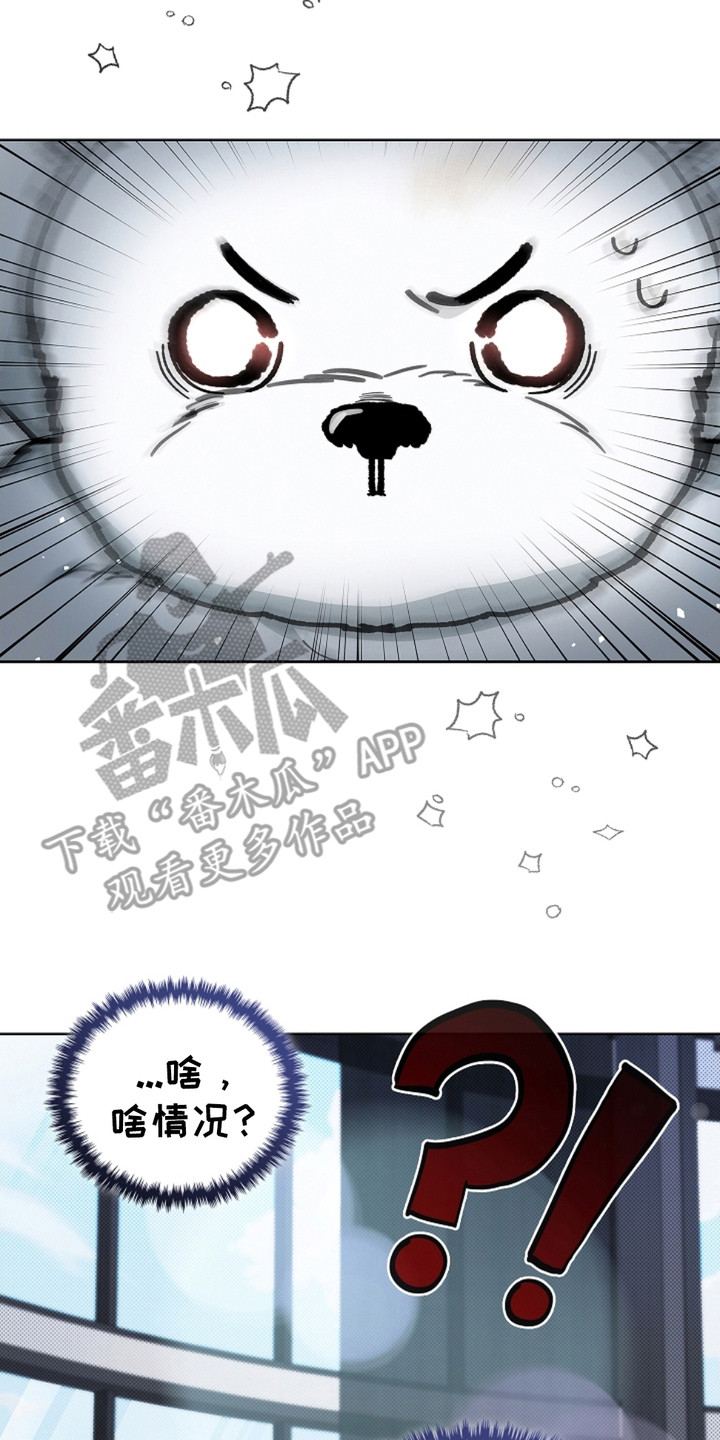 小白狗奇遇记韩漫免费观看全集漫画,第10话2图