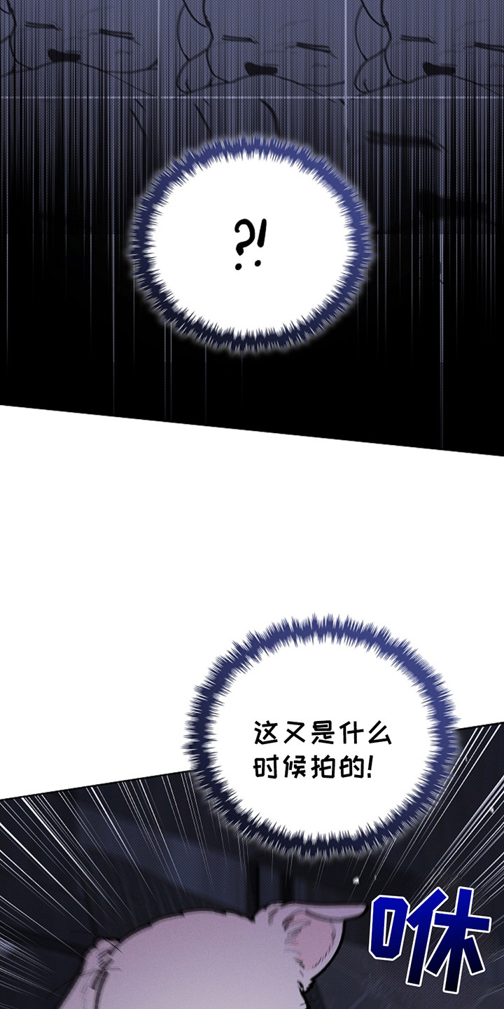 小白狗奇遇记韩漫免费观看全集漫画,第12话1图