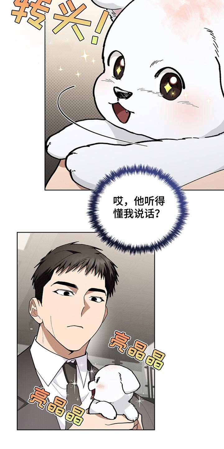 小白狗奇遇记作者信息漫画,第30话2图