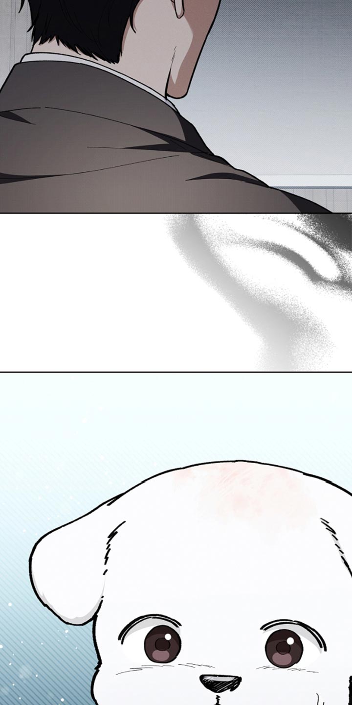 小白狗奇遇记韩漫免费观看全集漫画,第29话2图