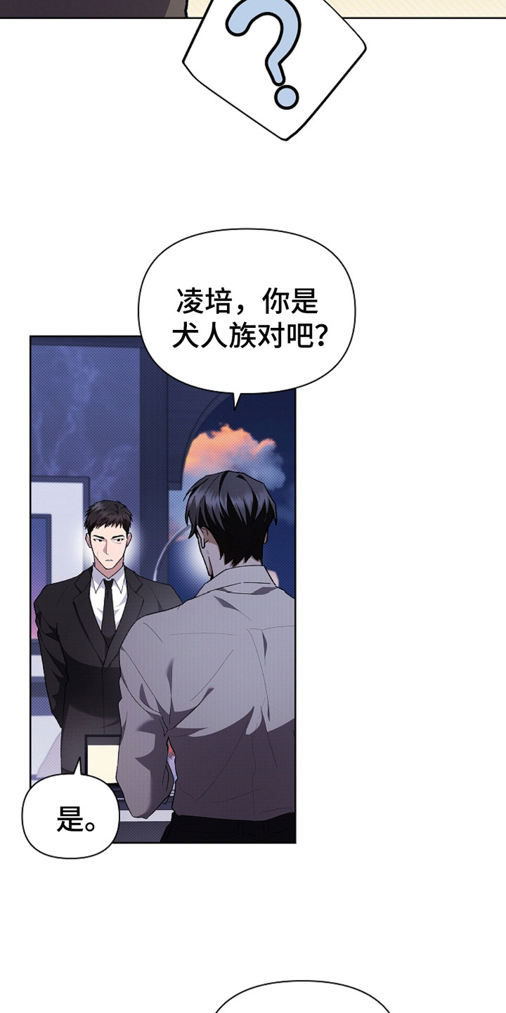 小白狗奇遇记韩漫免费观看全集漫画,第18话2图