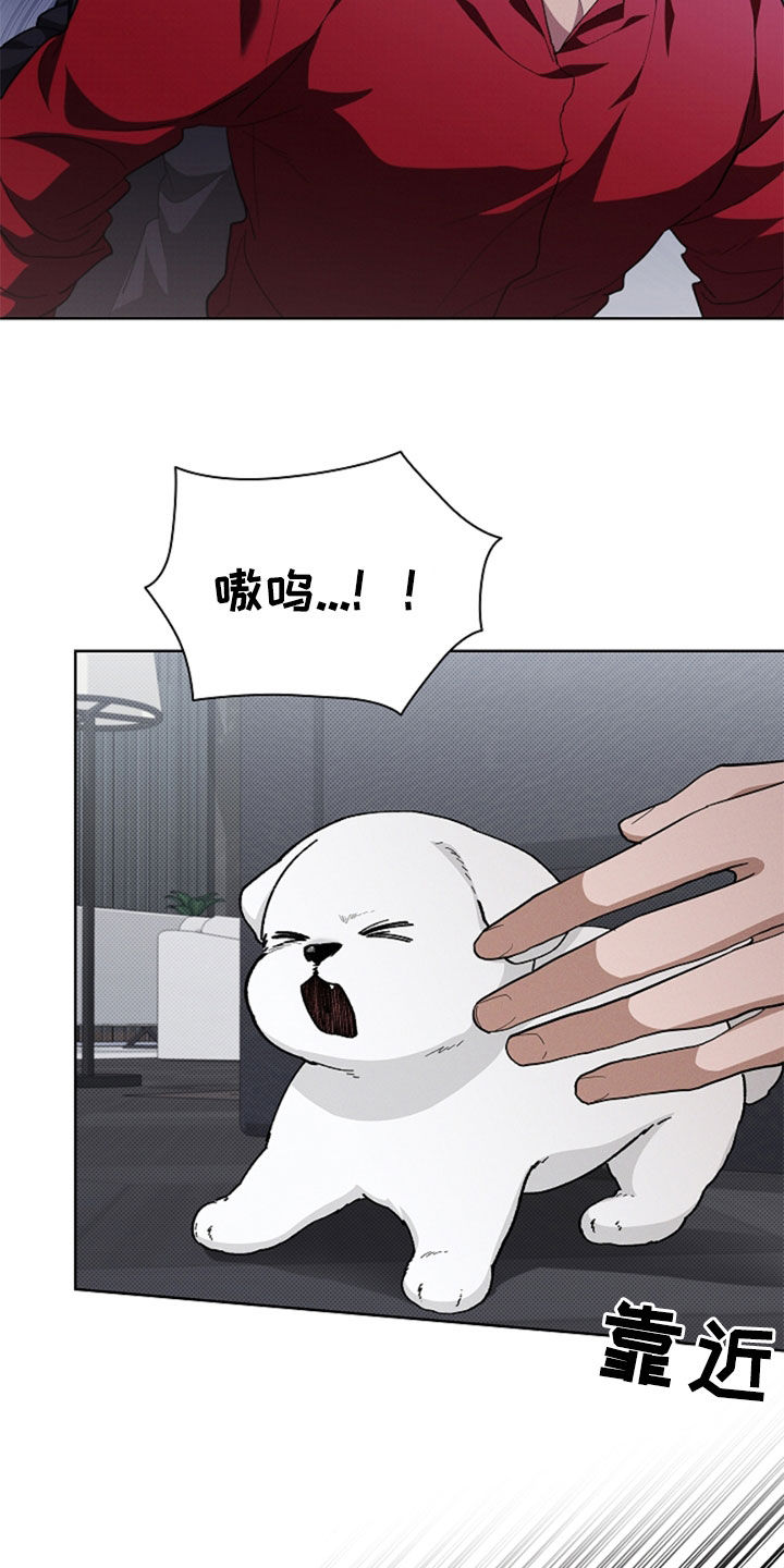 小白狗奇遇记韩漫免费观看全集漫画,第36话2图