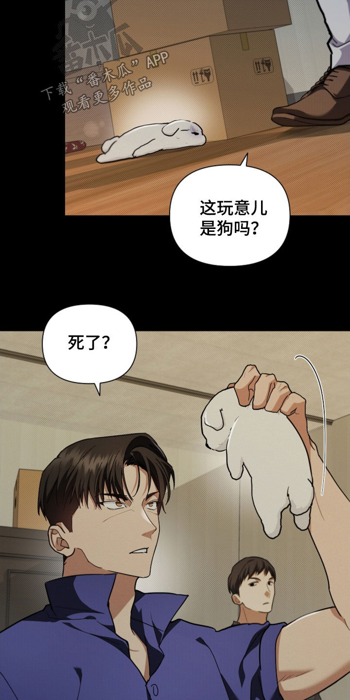 小白狗奇遇记韩漫免费观看全集漫画,第41话2图