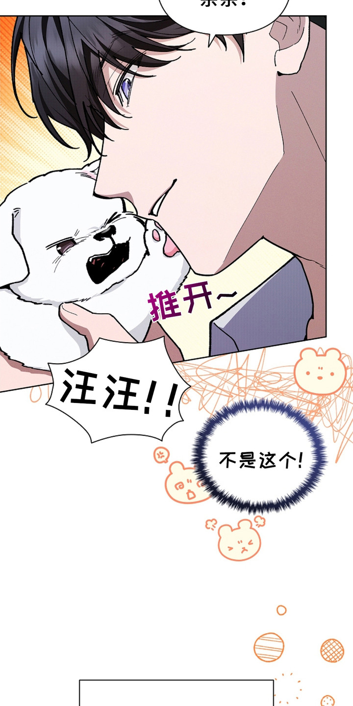 小白狗奇遇记韩漫免费观看全集漫画,第18话1图