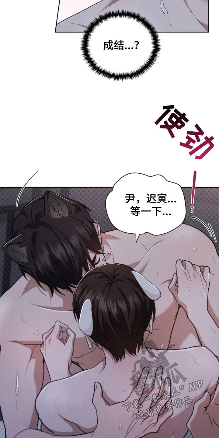 小白狗奇遇记韩漫免费观看全集漫画,第60话2图