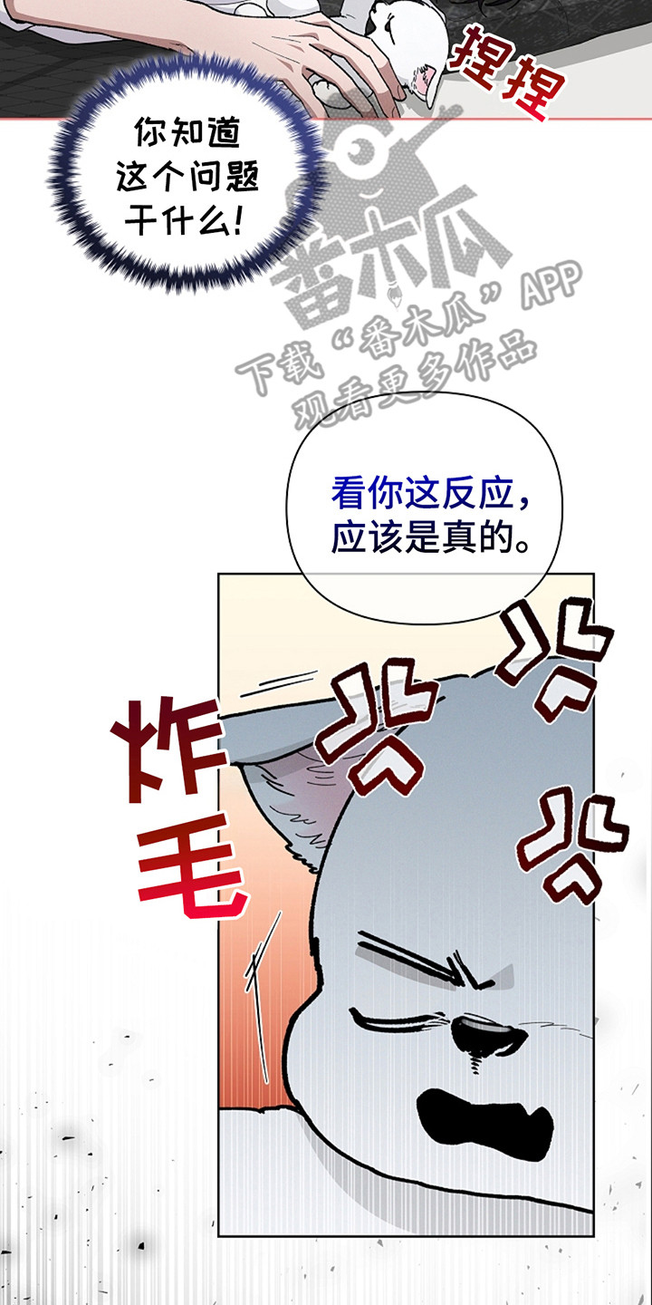 小白狗奇遇记韩漫免费观看全集漫画,第24话2图