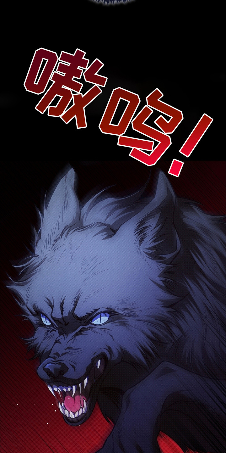 小白狗奇遇记韩漫免费观看全集漫画,第1话1图