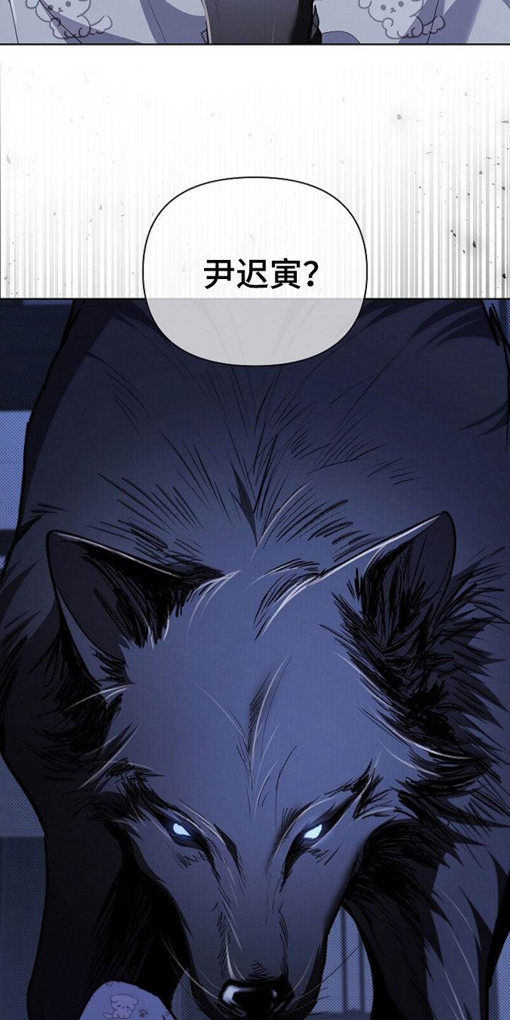 小白狗奇遇记韩漫免费观看全集漫画,第47话1图