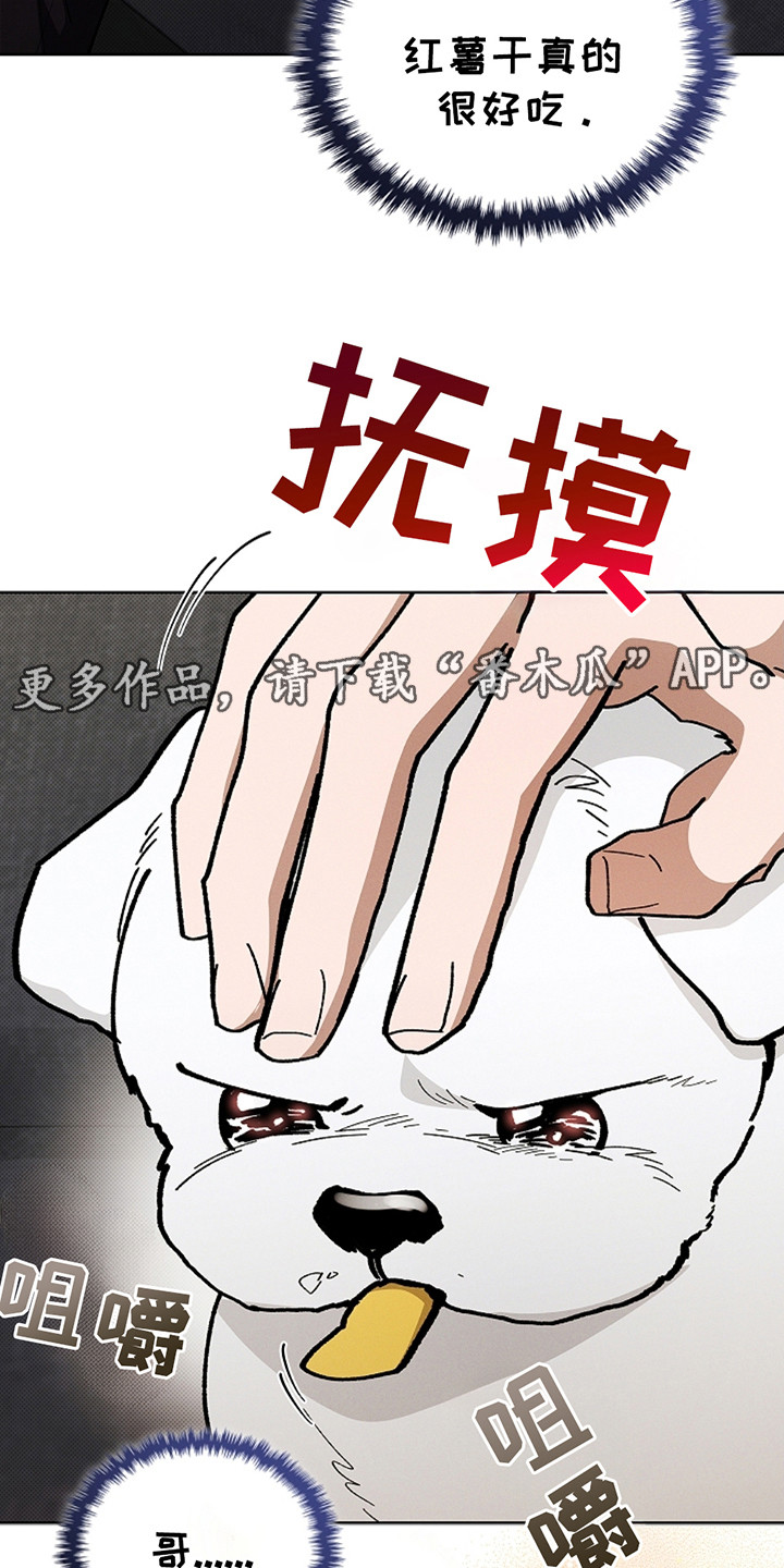 番木瓜免费版漫画怎么下载漫画,第14话1图