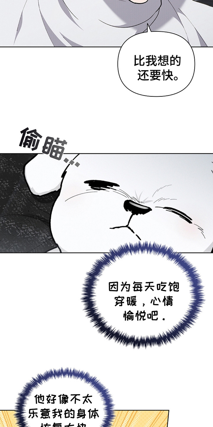 小白狗奇遇记韩漫免费观看全集漫画,第20话1图