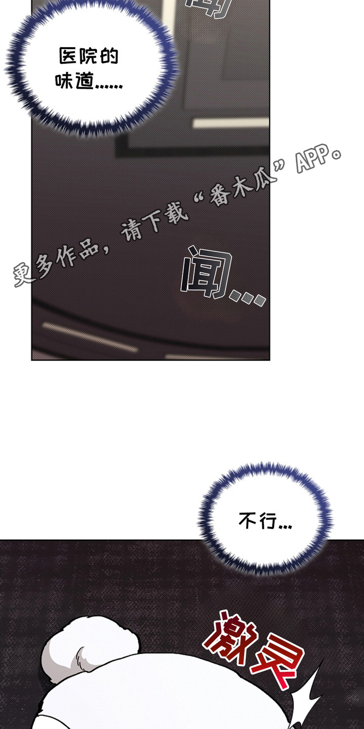 小白狗奇遇记韩漫免费观看全集漫画,第10话1图