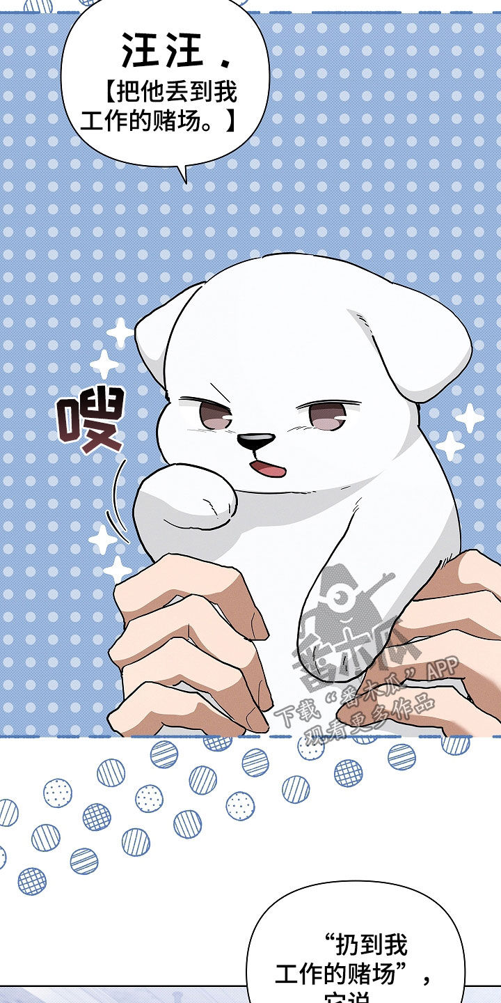 小白狗奇遇记韩漫免费观看全集漫画,第45话2图