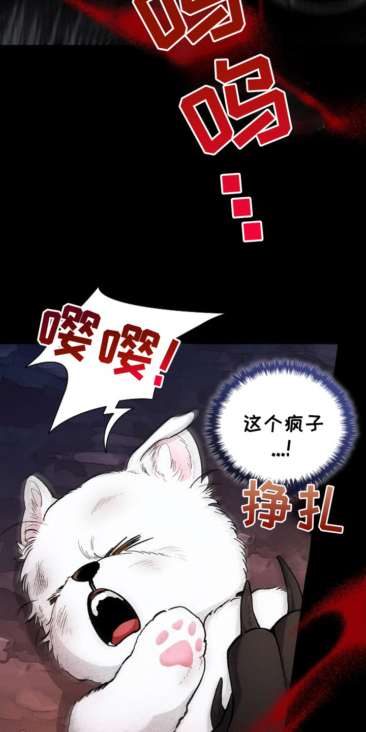 小白狗奇遇记韩漫免费观看全集漫画,第1话2图
