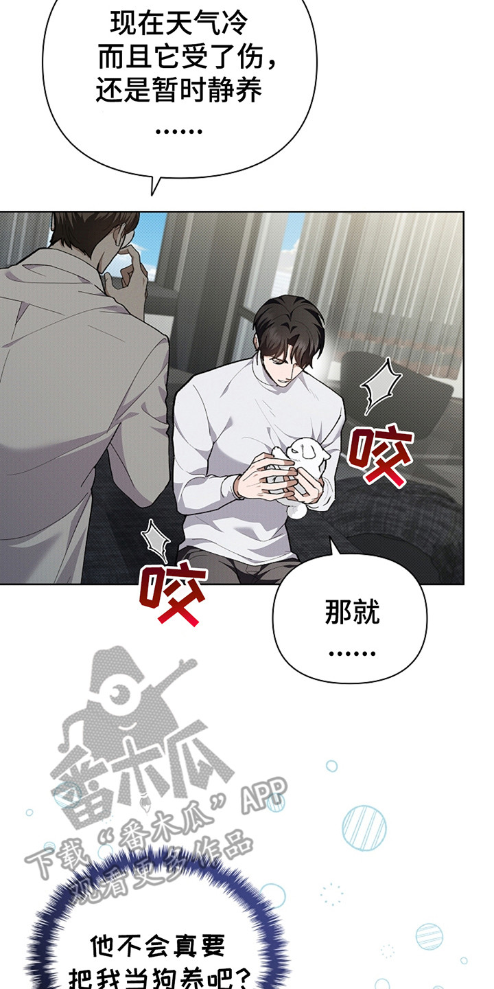 小白狗奇遇记韩漫免费观看全集漫画,第20话2图