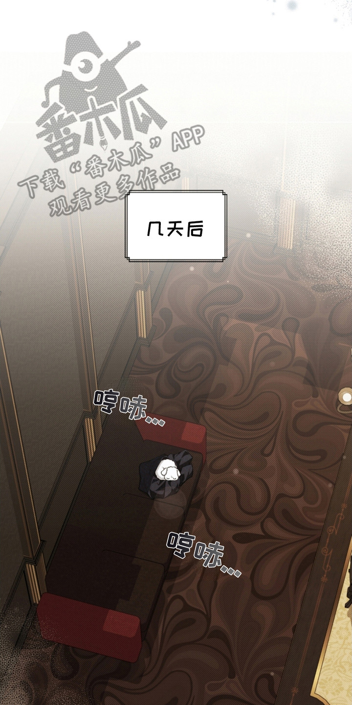 小白狗奇遇记韩漫免费观看全集漫画,第3话2图