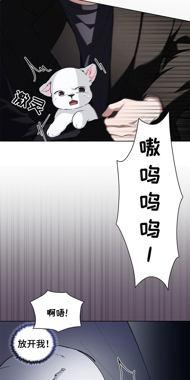 小白狗奇遇记漫画评价漫画,第36话2图