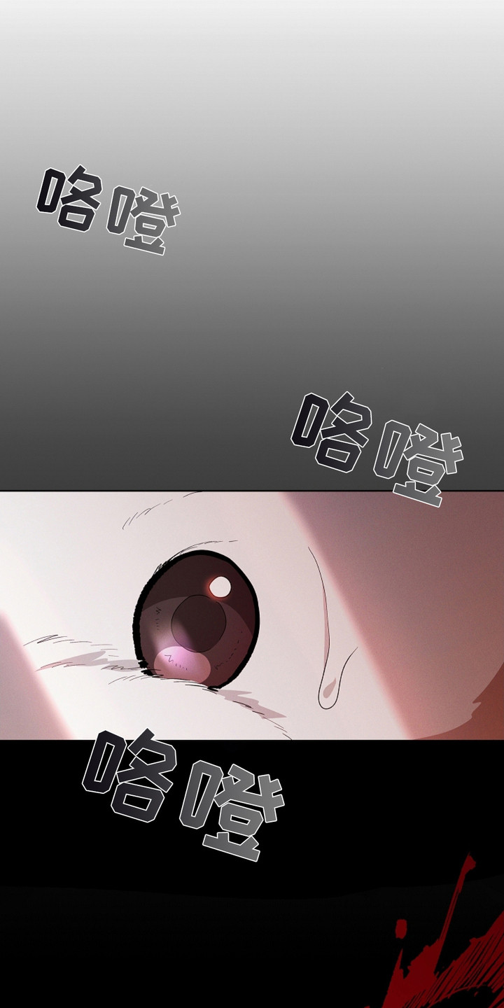 小白狗奇遇记韩漫免费观看全集漫画,第17话2图