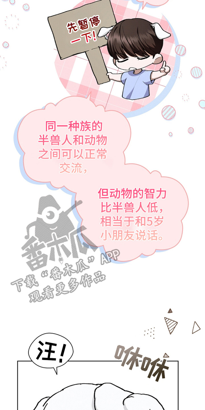 小白狗奇遇记韩漫免费观看全集漫画,第18话2图