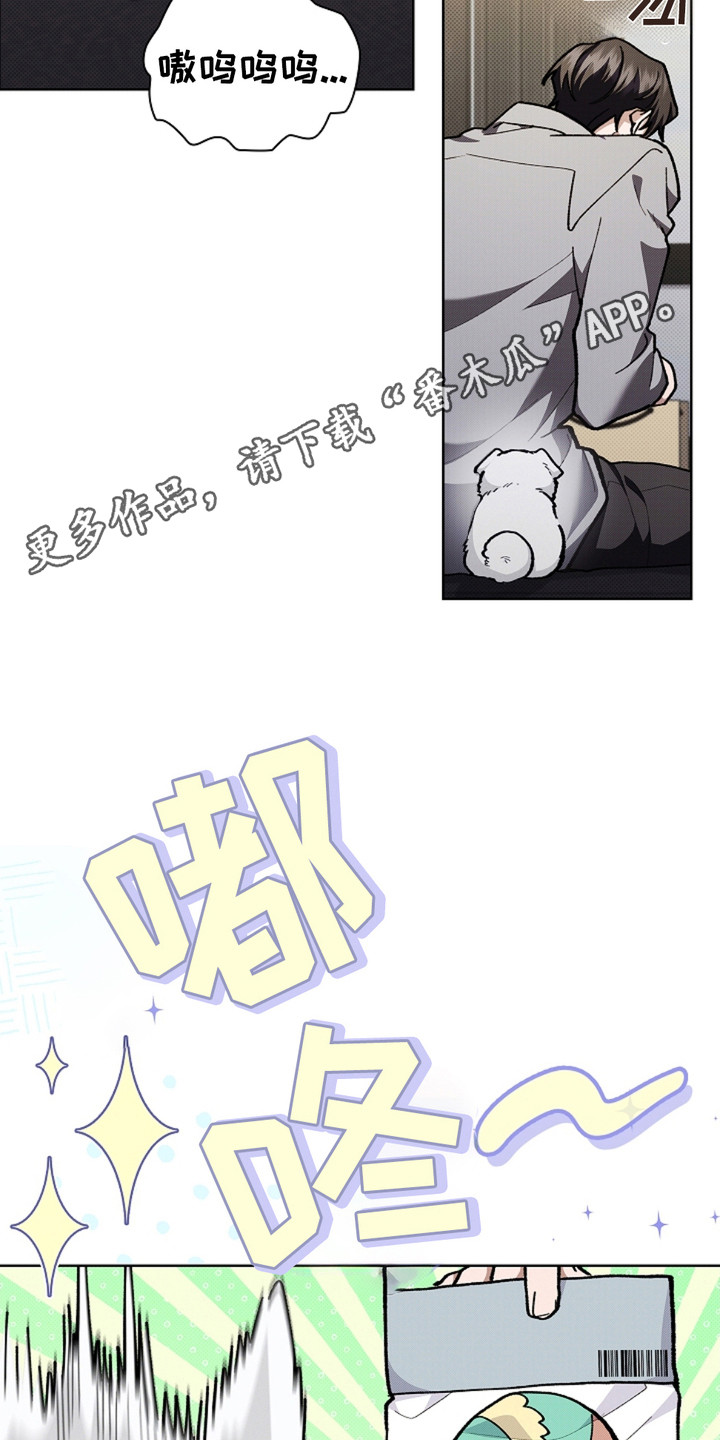 小白狗奇遇记韩漫免费观看全集漫画,第15话1图