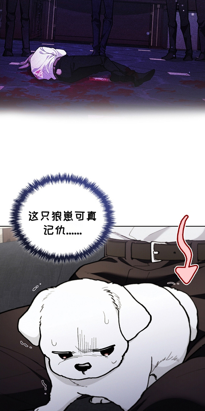 小白狗奇遇记韩漫免费观看全集漫画,第13话2图