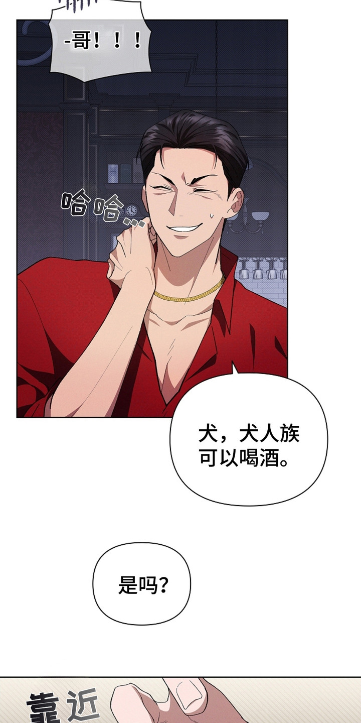 小白狗奇遇记韩漫免费观看全集漫画,第3话2图