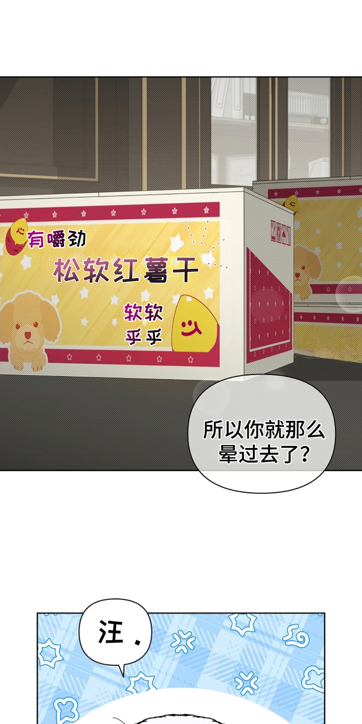 小白狗奇遇记韩漫免费观看全集漫画,第4话2图