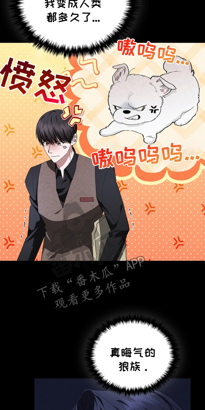 小白狗奇遇记韩漫免费观看全集漫画,第2话2图