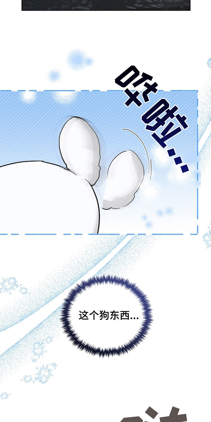 小白狗奇遇记韩漫免费观看全集漫画,第48话1图