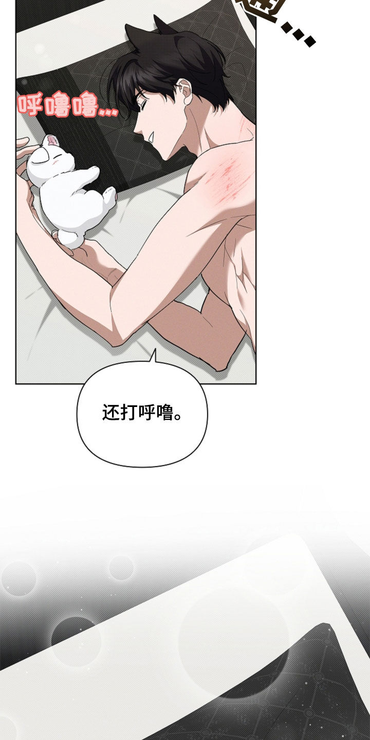 小白狗奇遇记韩漫免费观看全集漫画,第62话1图